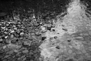 river stones in black and white