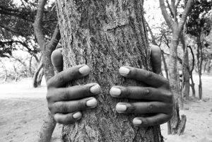 tree hugger nature lover in black and white